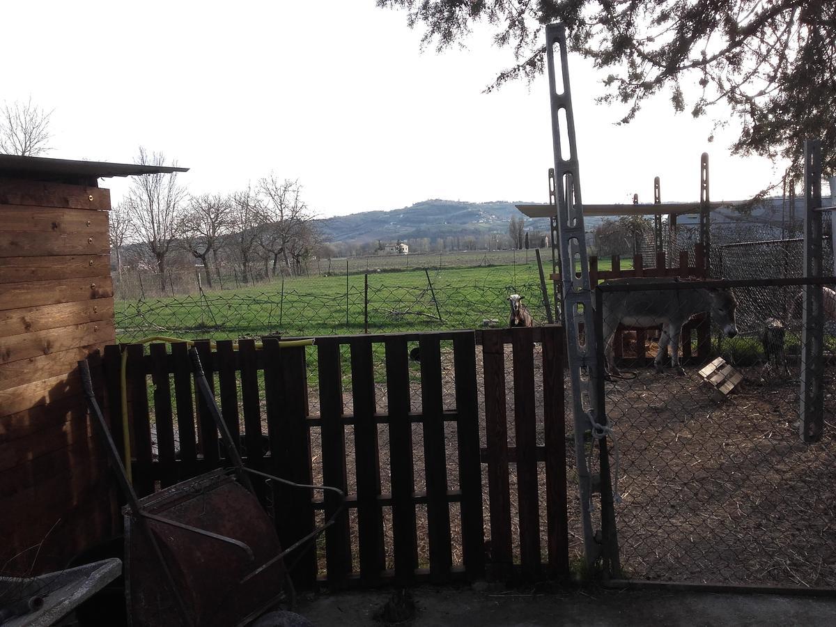 B&B La Quiete Фолиньо Экстерьер фото